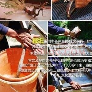古法造纸能否成中国贵族新专属
