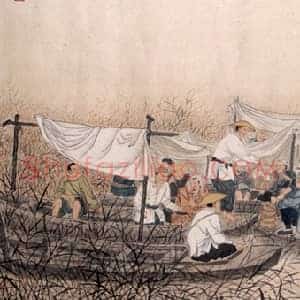 书画收藏指南