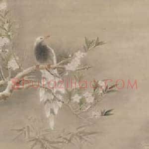 荣宝秋拍精品:张大千《桃花翠鸟》