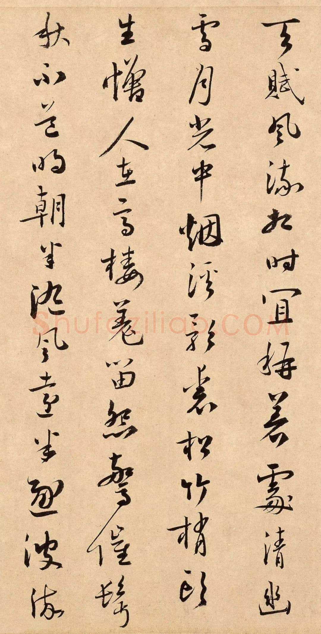 扬无咎《四梅花图卷、行书跋雪梅图卷》