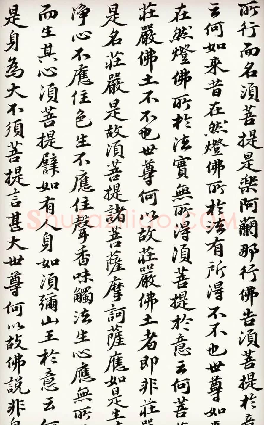 苏轼行楷书法欣赏《金刚经》全本 | 毛笔书法作品