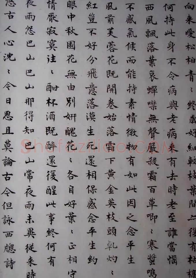 沈尹默小楷书法欣赏《秋明室杂诗》 | 名家书法作品精选
