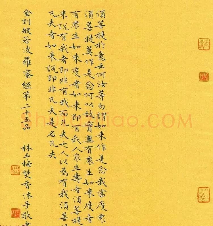 漳州市女书法家林玉梅小楷金刚经 | 书法作品赏析
