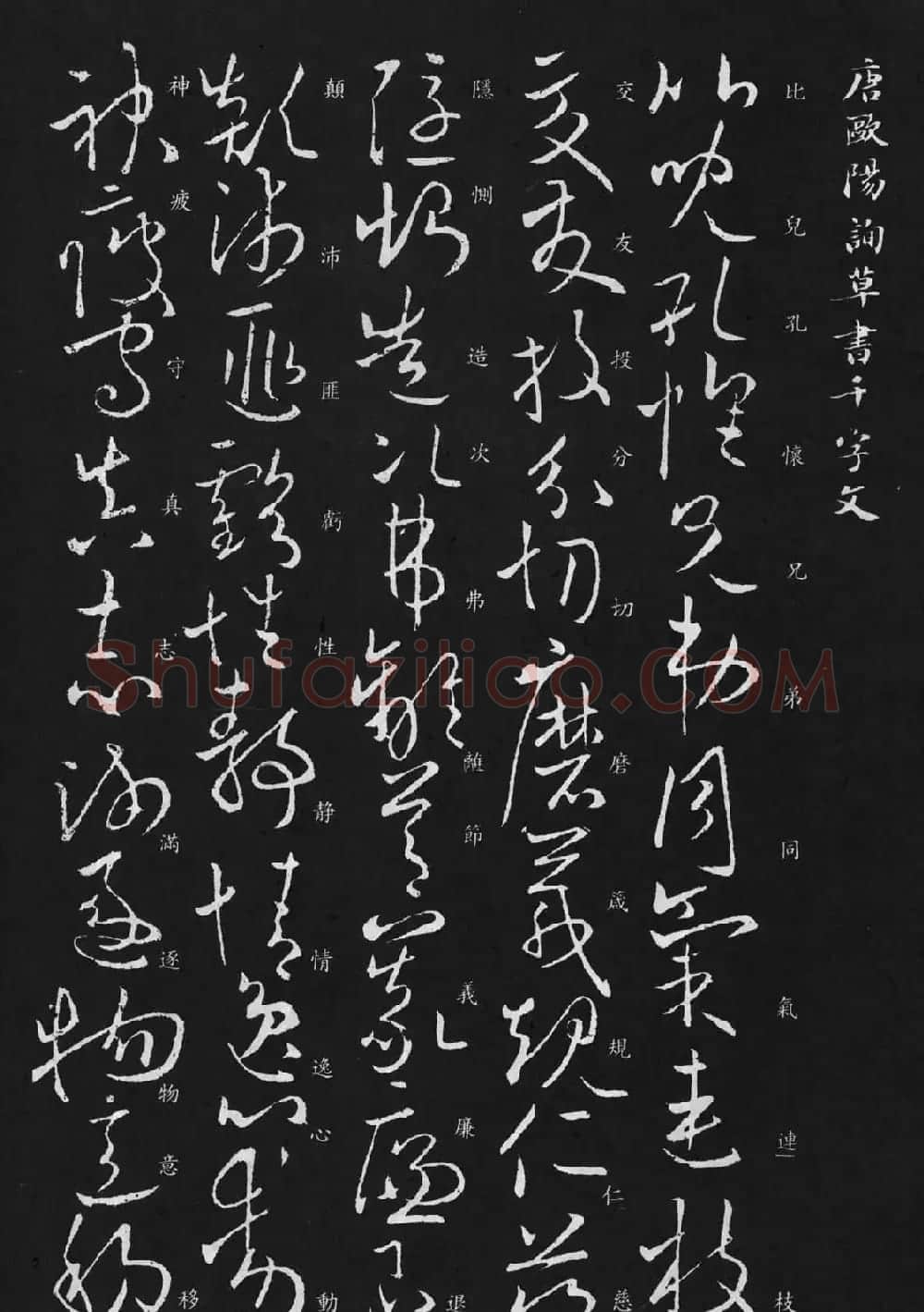 欧阳询书法欣赏草书千字文 | 书法名家作品欣赏