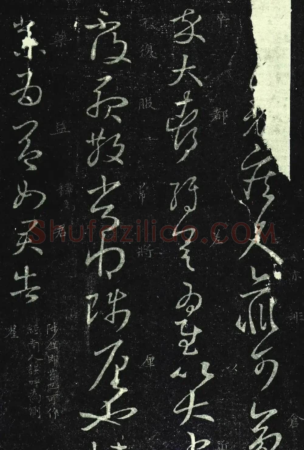 王羲之草书《知宾帖》5种版本 | 名家书法作品精选
