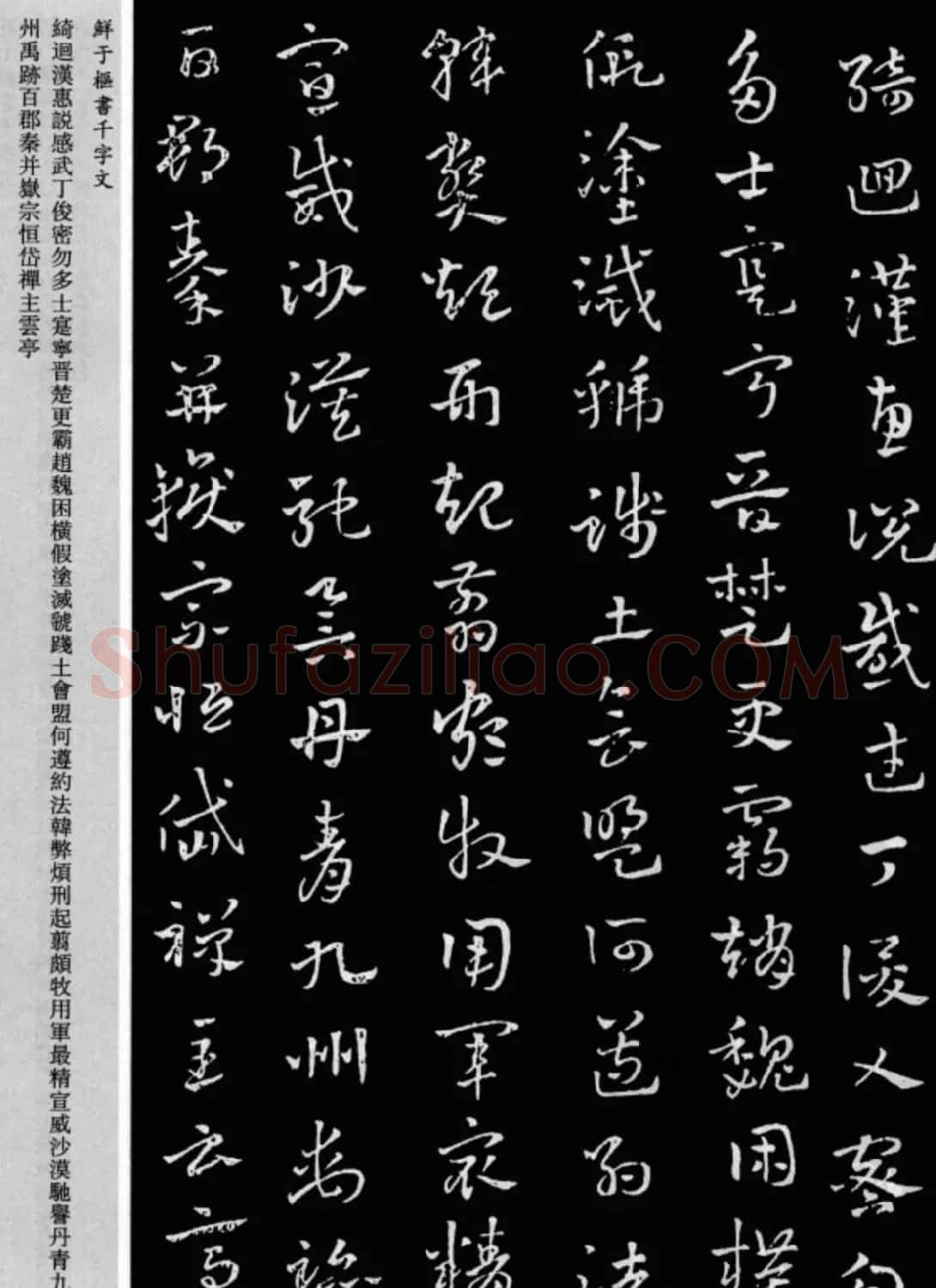 鲜于枢章草书法欣赏《千字文》大图 | 软笔草书字帖