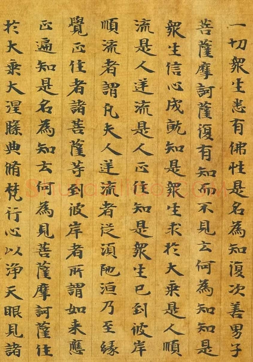 隋代释善藏书写《大般涅槃经卷十六》 | 敦煌写经鉴赏