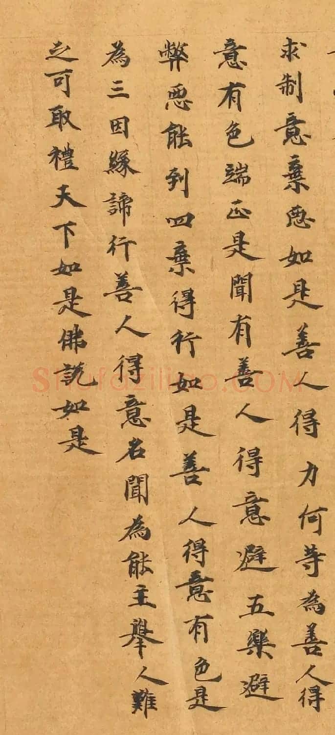 敦煌写经手稿《佛说马有三相经》 | 敦煌写经鉴赏