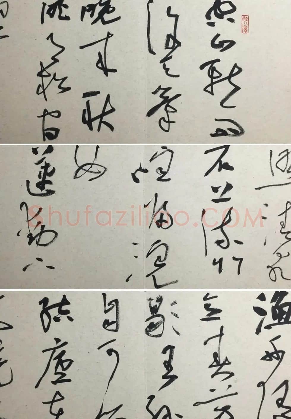 知镰草书册页《金泽珊大草诗册》 | 毛笔书法作品