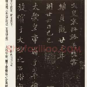褚遂良书法作品欣赏《文皇哀册》