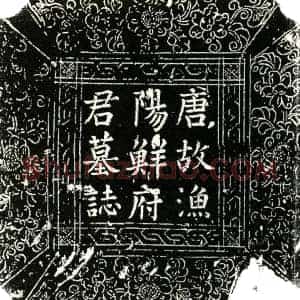 唐代 楷书墓志拓片《唐鲜腾墓志铭》高清图片欣赏