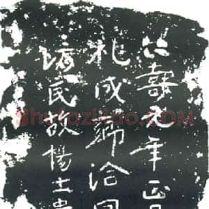 隋代 楷书墓志拓片《隋杨士贵志》高清图片欣赏