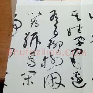 沈鹏草书欣赏《五柳先生传》