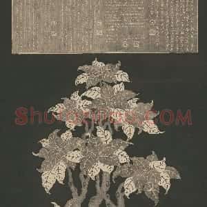 清拓《梵域娑罗图》