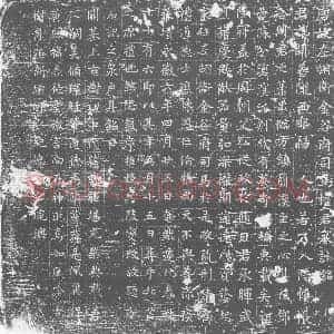 唐代 楷书墓志拓片《唐故左翊卫金谷府司马权君墓志铭》高清图片欣赏