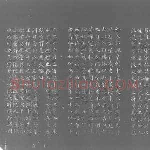 唐代 楷书墓志拓片《大唐泾王故妃韦氏墓志铭》高清图片欣赏