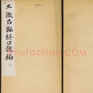 王绍宗书法拓本《唐王徴君临终口授銘并序》