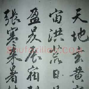 天津著名書法家哈珮行書千字文