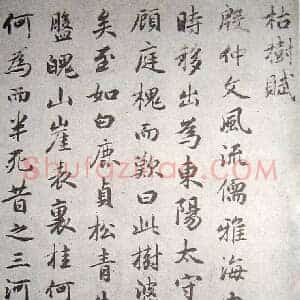 元 赵孟俯《临褚遂良枯树赋》纸本 行书 墨迹 共6页