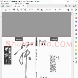 认识书法艺术—草书