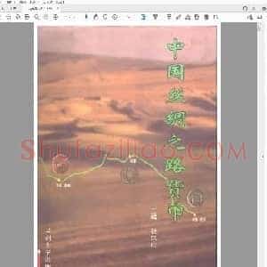 《中国丝绸之路货币》张忠山.pdf