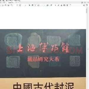 上海博物馆藏品研究大系 中国古代封泥.pdf