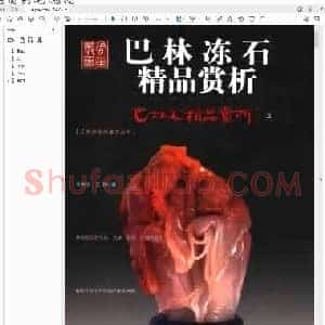 张学苍 王陟《巴林冻石》.pdf
