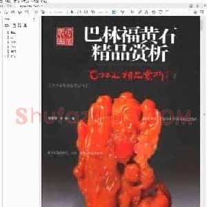 张学苍 王陟《巴林福黄石》.pdf