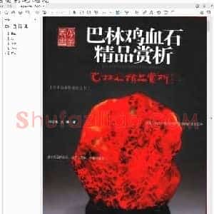 张学苍 王陟《巴林鸡血石》.pdf