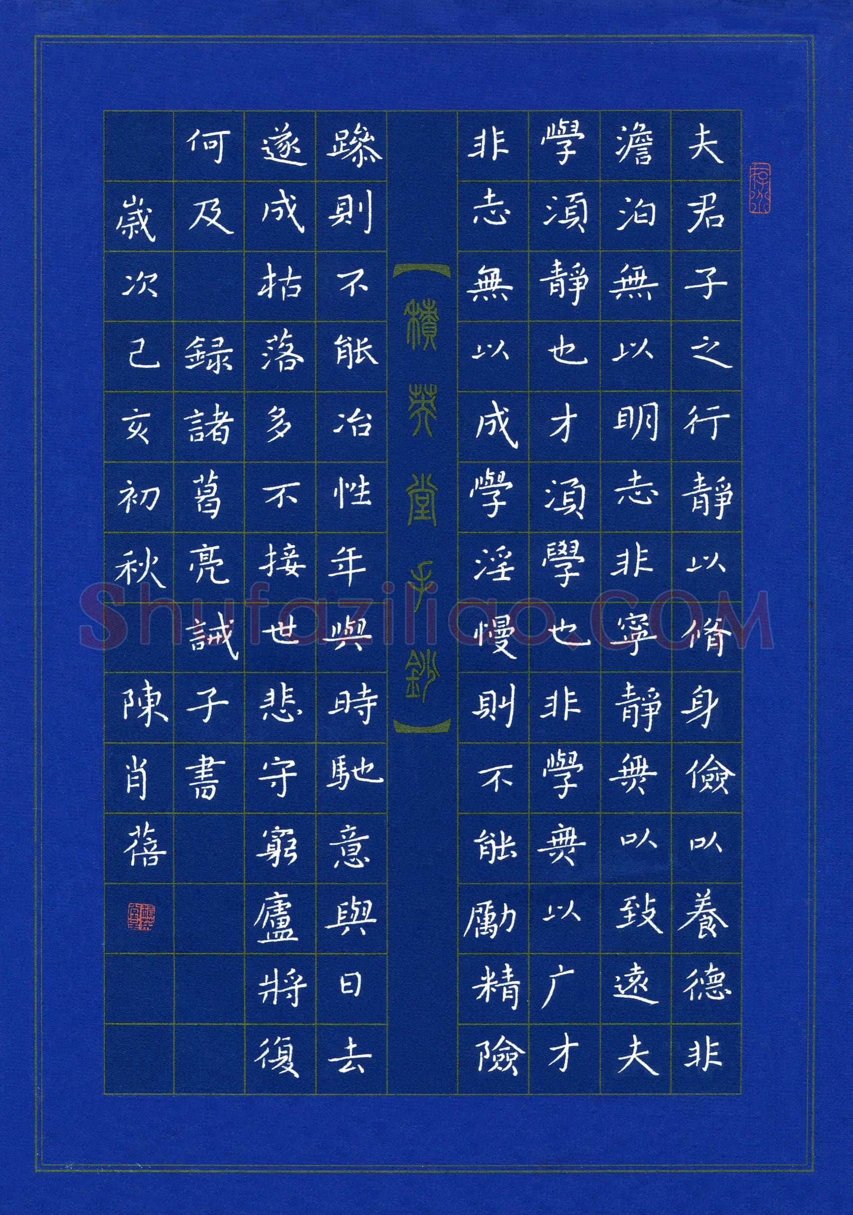 陈肖蓓(少儿组 17岁)硬笔书法大赛入围作品选登,陈肖蓓硬笔书法作品