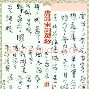 李忠燊 硬笔行书作品《唐诗宋词选抄》图片欣赏