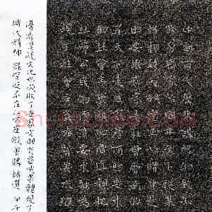 魏野(成人组 金奖)硬笔书法大赛 获奖作品图片欣赏