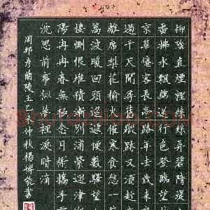 杨博能(成人组 优秀奖)硬笔书法大赛 获奖作品图片欣赏