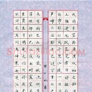 郭仕林(少儿组 13岁 铜奖)硬笔书法大赛 获奖作品图片欣赏