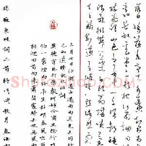 秦汝云(成人组 优秀奖)硬笔书法大赛 获奖作品图片欣赏