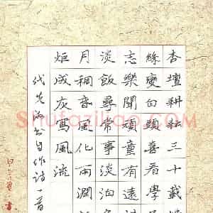 代先洲 硬笔楷书作品《自作诗一首》图片欣赏