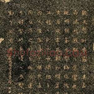 魏野(成人组 银奖)硬笔书法大赛 获奖作品图片欣赏