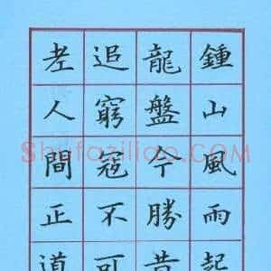 彭洪顺 硬笔楷书作品《毛泽东诗》图片欣赏