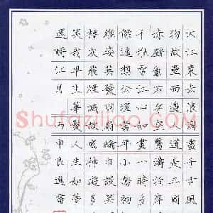 陈良进(成人组)硬笔书法大赛 入围作品选登图片欣赏