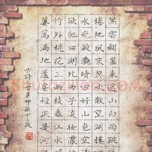 覃柳颖(少儿组 13岁 金奖)硬笔书法大赛 获奖作品图片欣赏