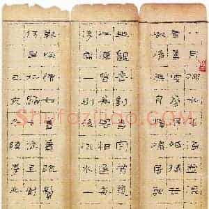 陈学光(成人组 精品奖)硬笔书法大赛 获奖作品图片欣赏