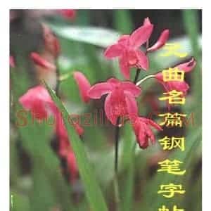 卢中南 元曲名篇钢笔字帖