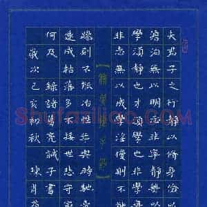 陈肖蓓(少儿组 17岁)硬笔书法大赛 入围作品选登图片欣赏