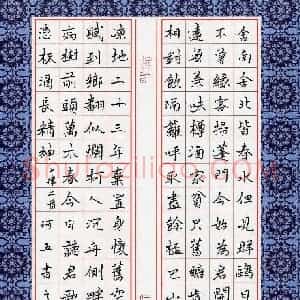 张阿五 硬笔楷书作品《七律二首》图片欣赏