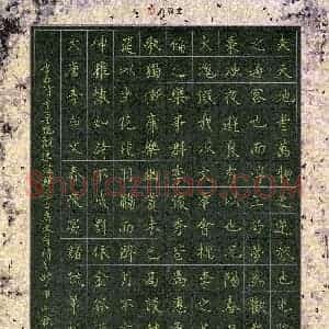 柯广添(成人组)硬笔书法大赛 入围作品选登图片欣赏
