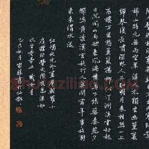 唐家胜(成人组 优秀奖)硬笔书法大赛 获奖作品图片欣赏