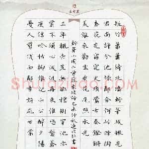 王远攻(成人组 优秀奖)硬笔书法大赛 获奖作品图片欣赏