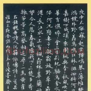 唐国生 硬笔楷书作品《阮籍诗三首》图片欣赏