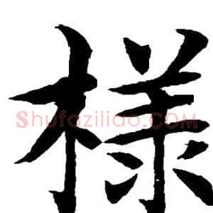 样