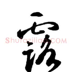 露
